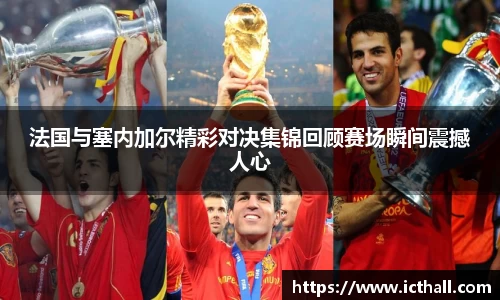 星空·综合体育入口